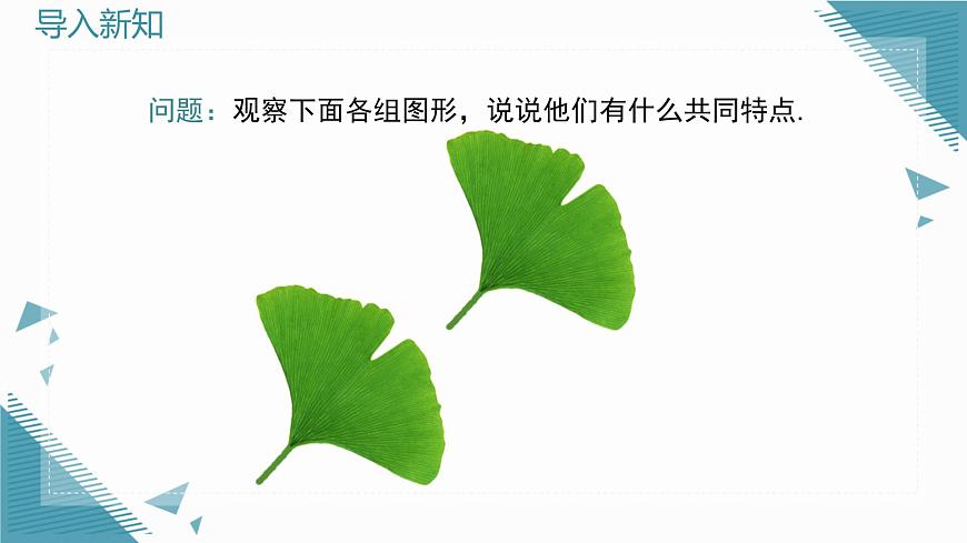 2025沪科版版教材初中数学八年级上册14.1  全等三角形及其性质课件第3页
