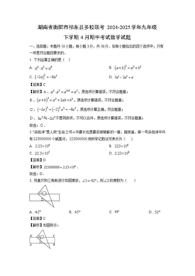 湖南省衡阳市祁东县多校联考2024-2025学年九年级下学期4月期中考试数学试卷（解析版）第1页
