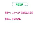 2025年湘教版七年级数学上册 二元一次方程组  专题（课件）