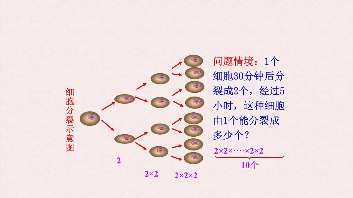 湘教版（2024）数学七年级上册 1.6.1 认识乘方课件第4页