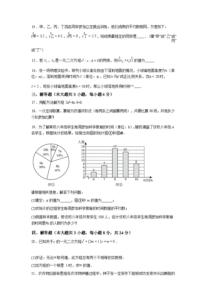 2024-2025学年广东省湛江市寸金培才学校下学期八年级级期末学情调研数学科试卷第3页