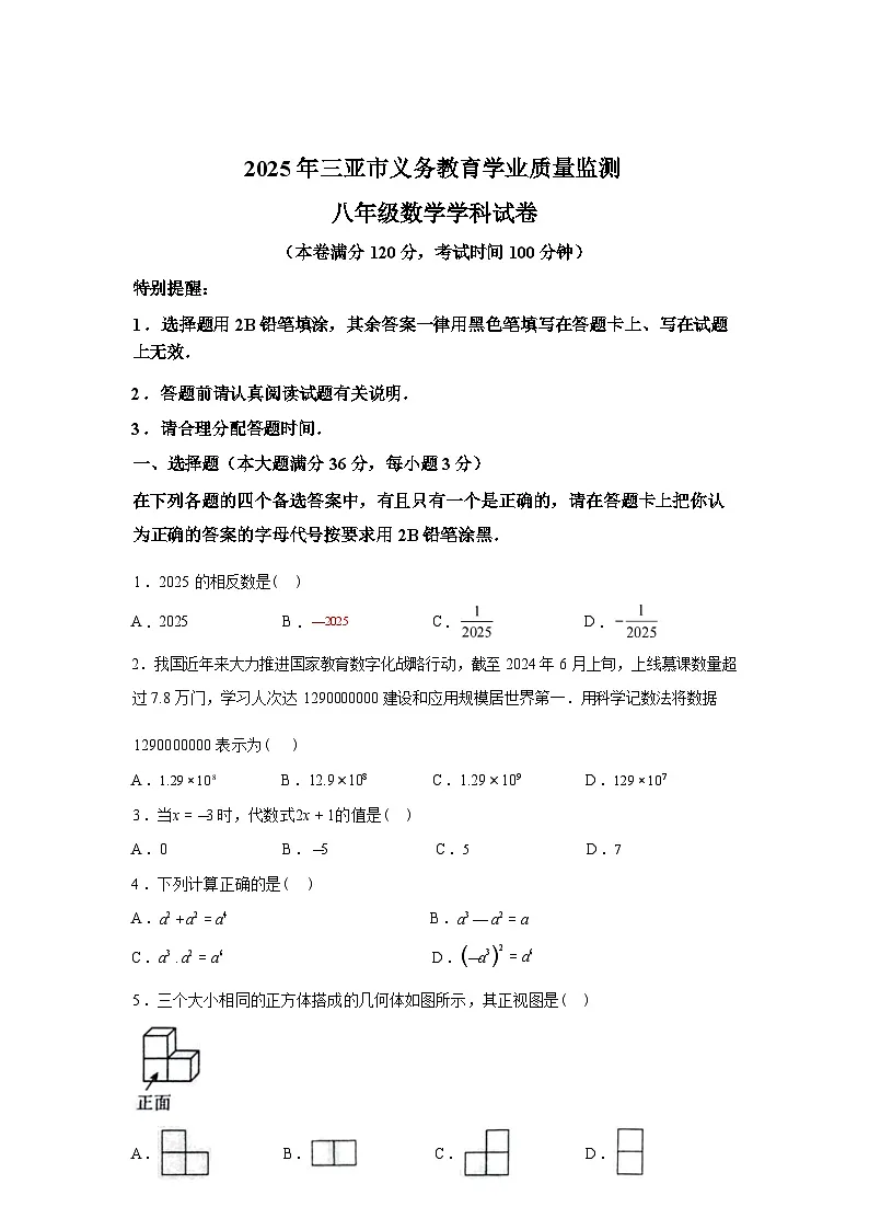 2024-2025学年海南省三亚市八年级下学期期末考试数学检测试卷第1页