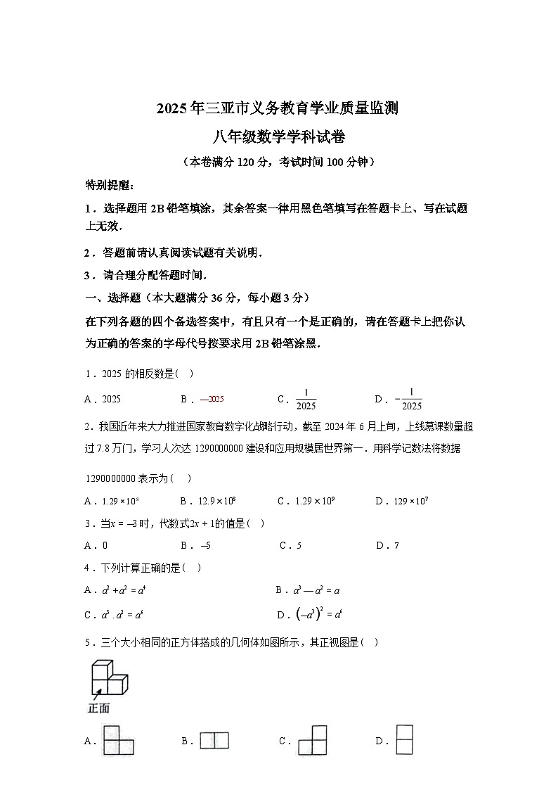 2024-2025学年海南省三亚市八年级下学期期末考试数学检测试卷第1页