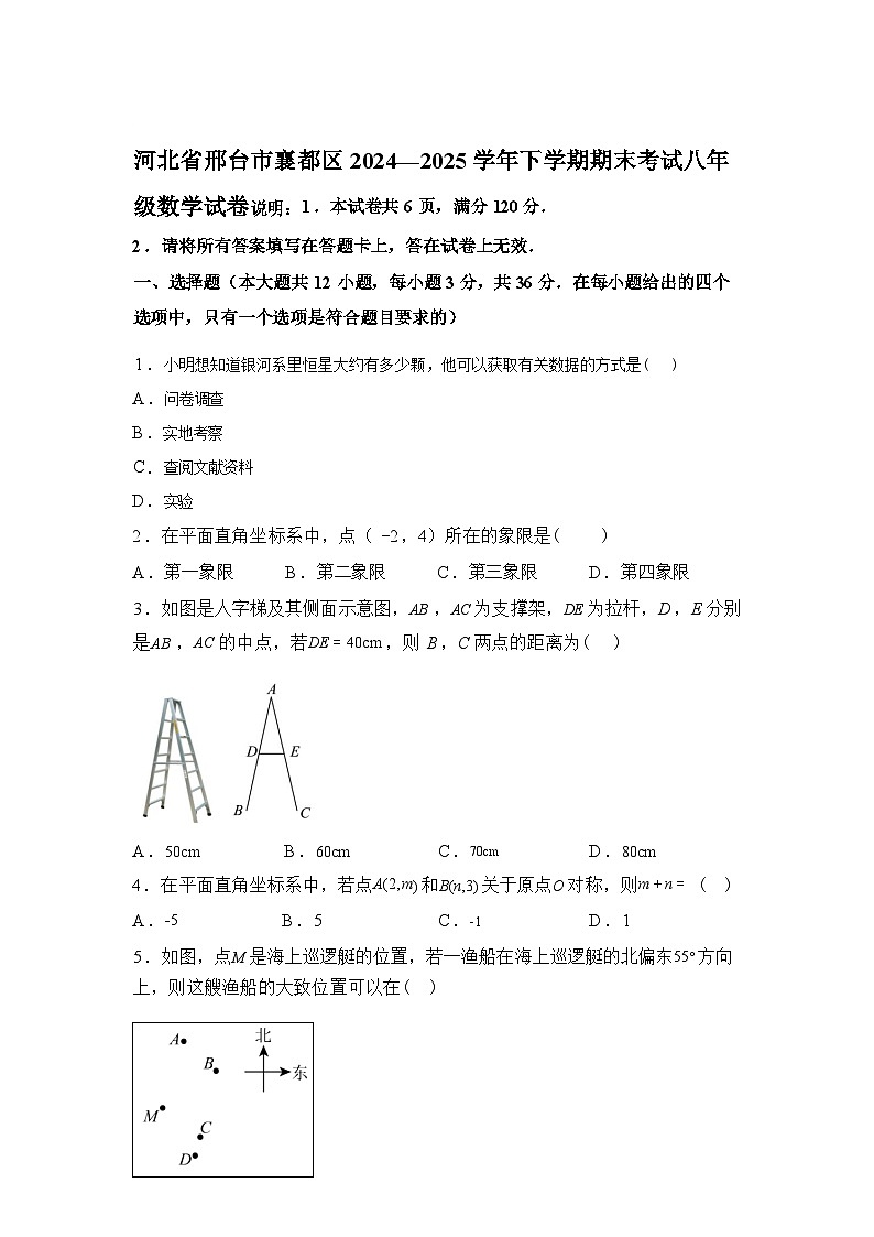 2024-2025学年河北省邢台市襄都区下学期期末考试八年级数学检测试卷-第1页