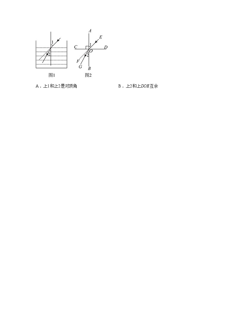2024-2025学年河南省郑州市中原区七年级下学期期末考试数学检测试卷第2页