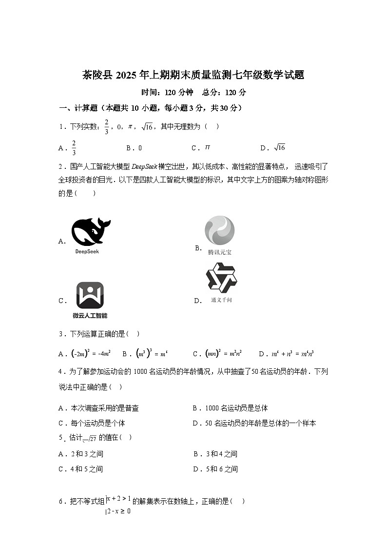 2024-2025学年湖南省株洲市茶陵县七年级下学期期末考试数学检测试卷第1页