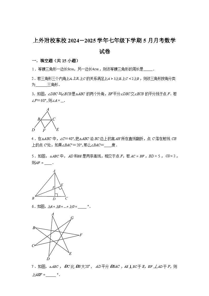 2024-2025学年上海外国语大学附校东校七年级下学期5月月考数学检测试卷第1页