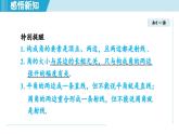 2025年秋華師版七年級數(shù)學上冊  3.6 角（學習、上課課件）