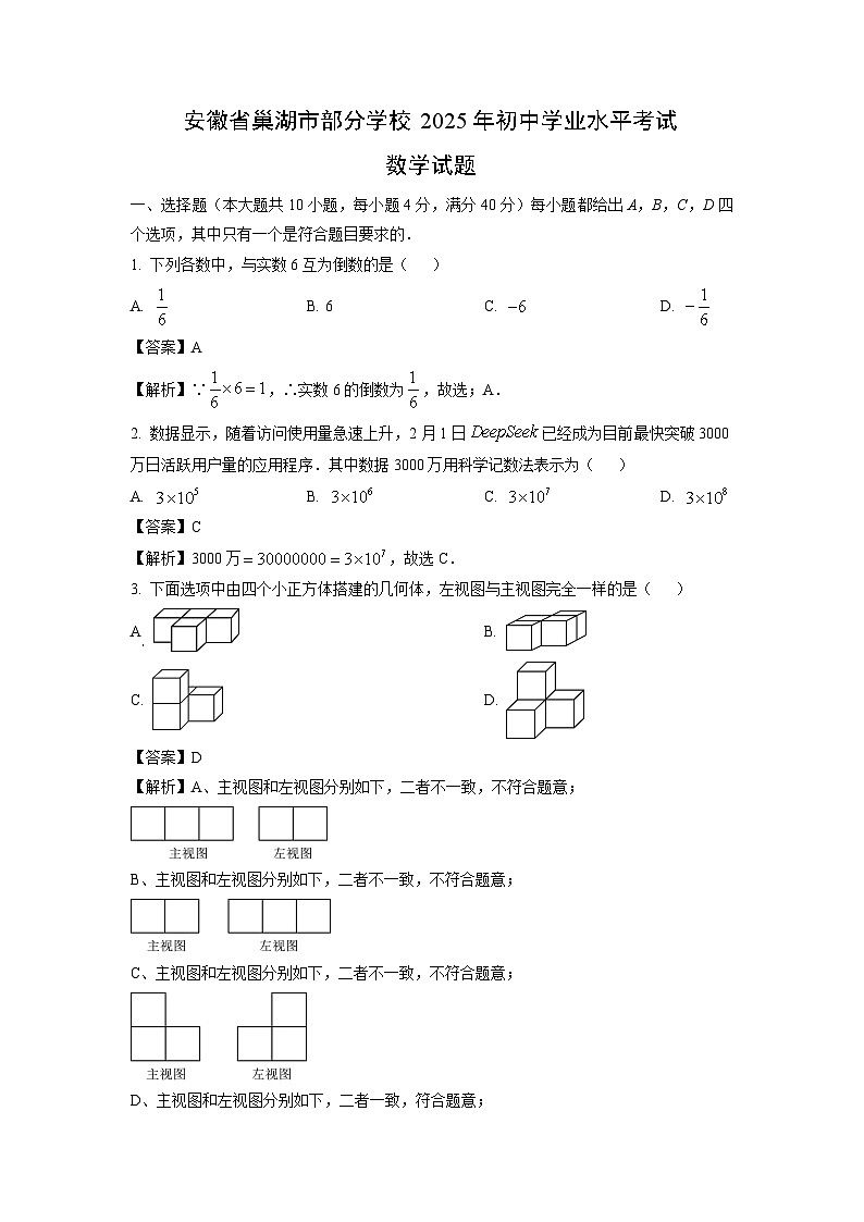 安徽省巢湖市部分学校2025年初中学业水平考试数学试卷（解析版）第1页