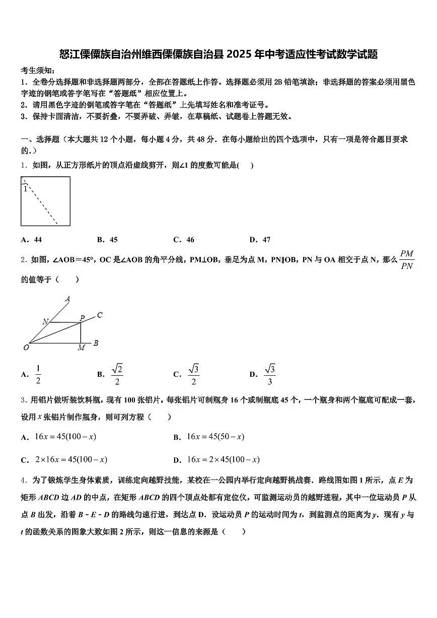 怒江傈僳族自治州维西傈僳族自治县2025年中考适应性考试数学试题含解析第1页
