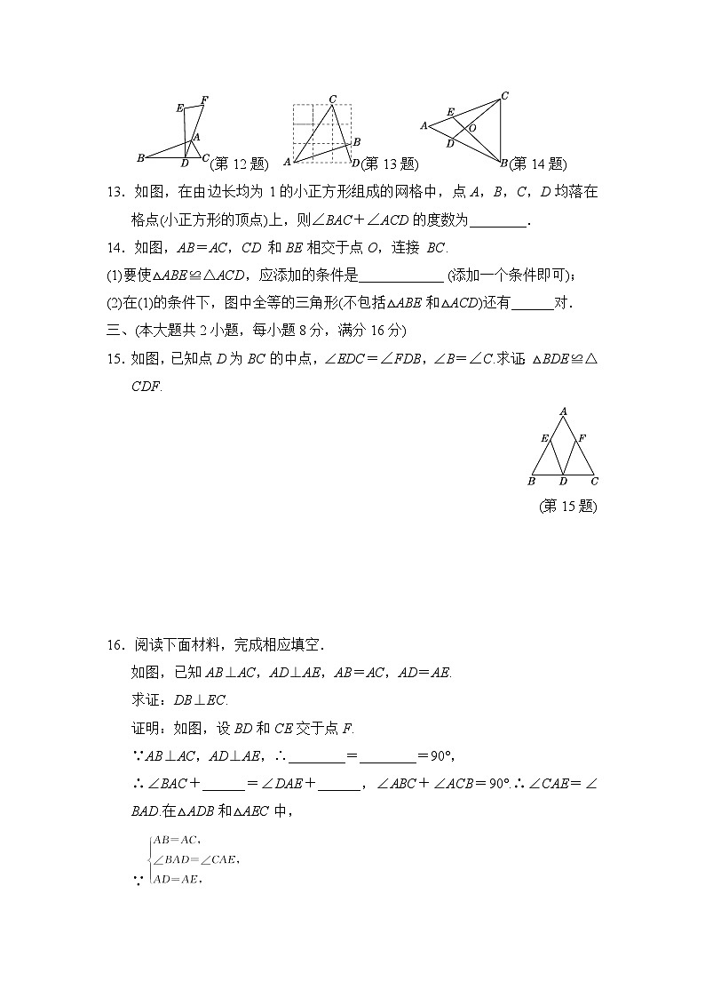 八年级数学上册 第14章　全等三角形 单元测试卷（沪科版 2024年秋）第3页