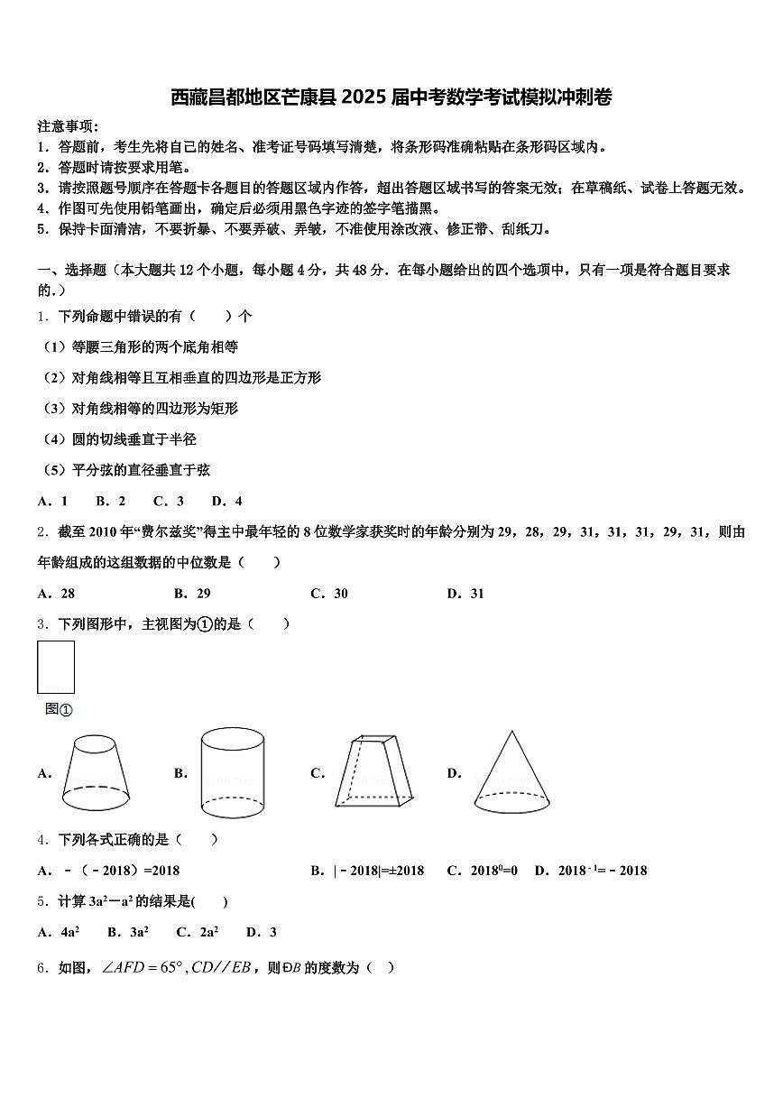 西藏昌都地区芒康县2025届中考数学考试模拟冲刺卷含解析第1页