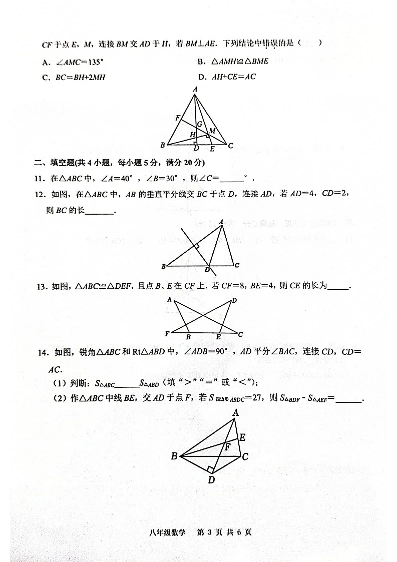 安徽省合肥市庐江县2024-2025学年八年级上学期11月期中考试数学试题第3页