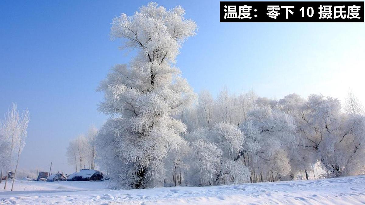 2025年秋人教七年级数学上册1.1 正数和负数（课件）第3页