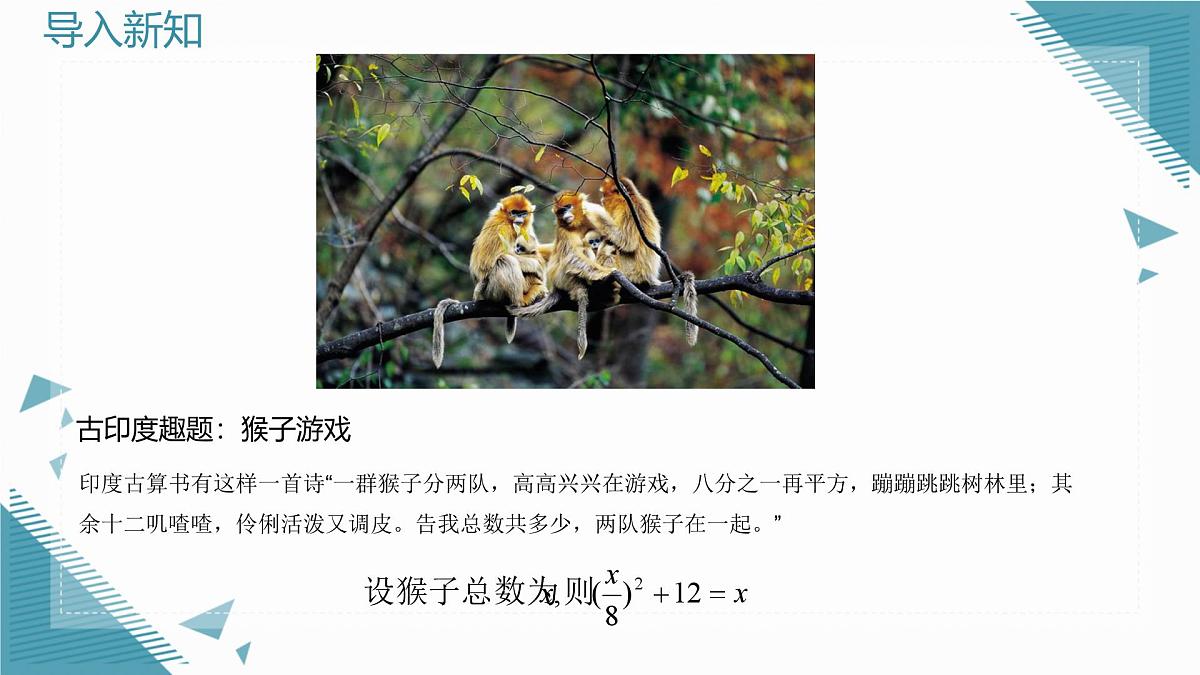 2025年沪教版（五四制）教材初中数学八年级上册21.1 一元二次方程课件第3页