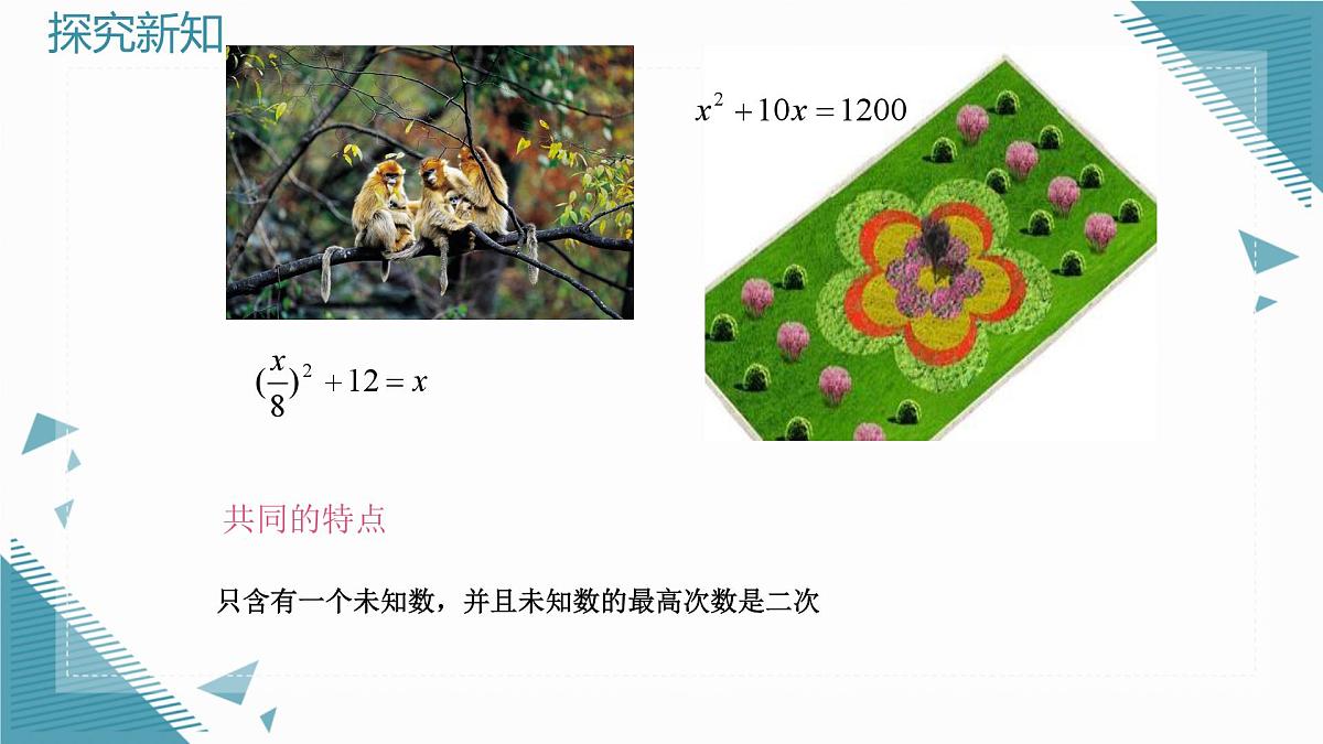 2025年沪教版（五四制）教材初中数学八年级上册21.1 一元二次方程课件第5页