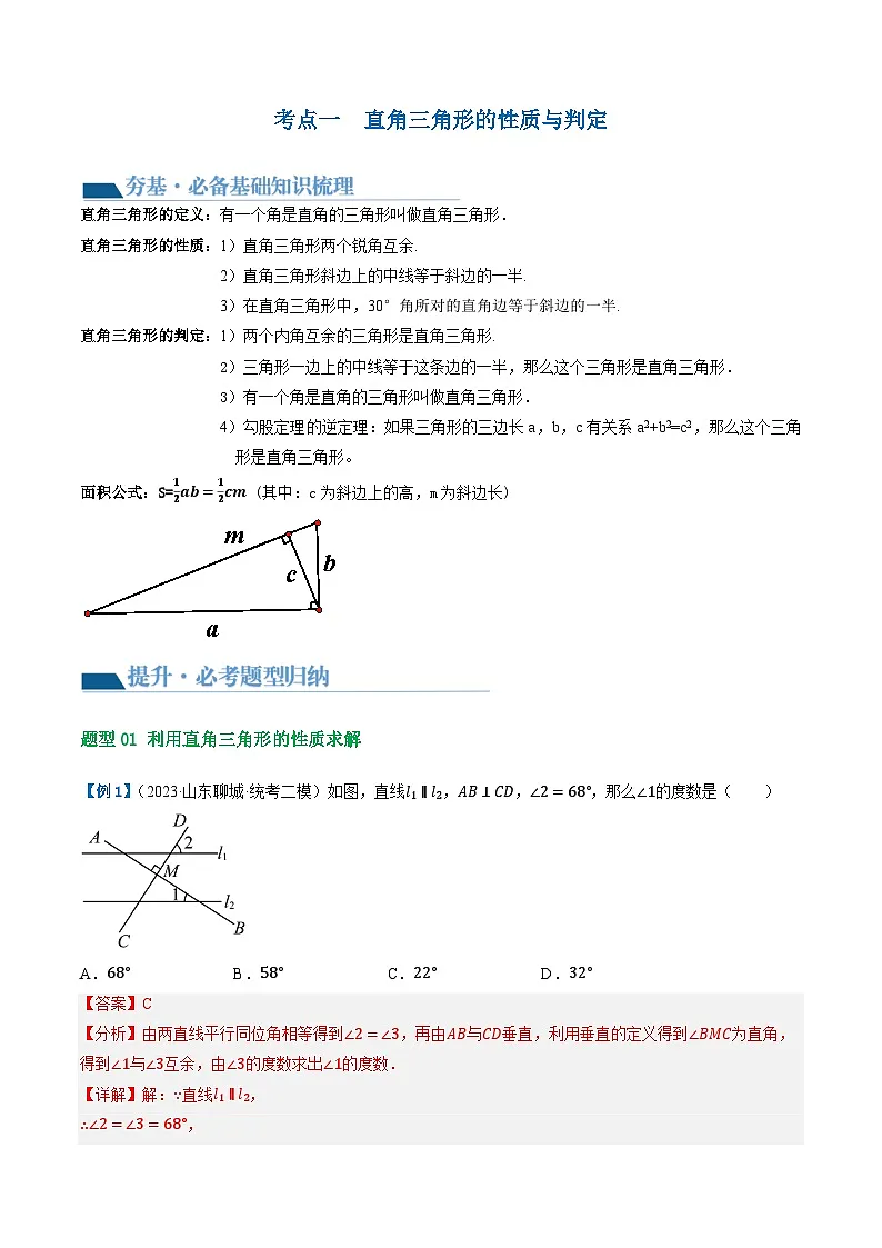 中考数学第一轮专项复习专题第19讲 直角三角形（讲义）（解析版）第3页