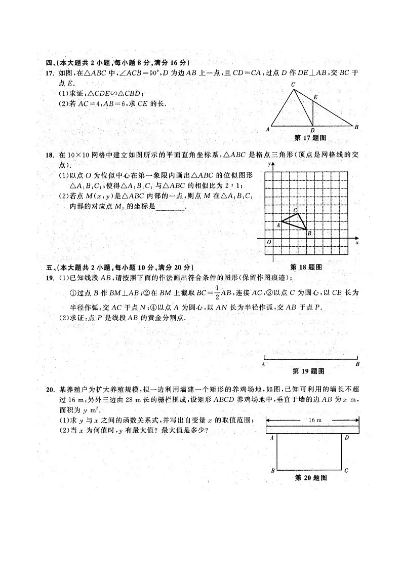 【九上HK数学】安徽省合肥市庐阳中学2024—2025学年九年级上学期期中数学试卷第3页
