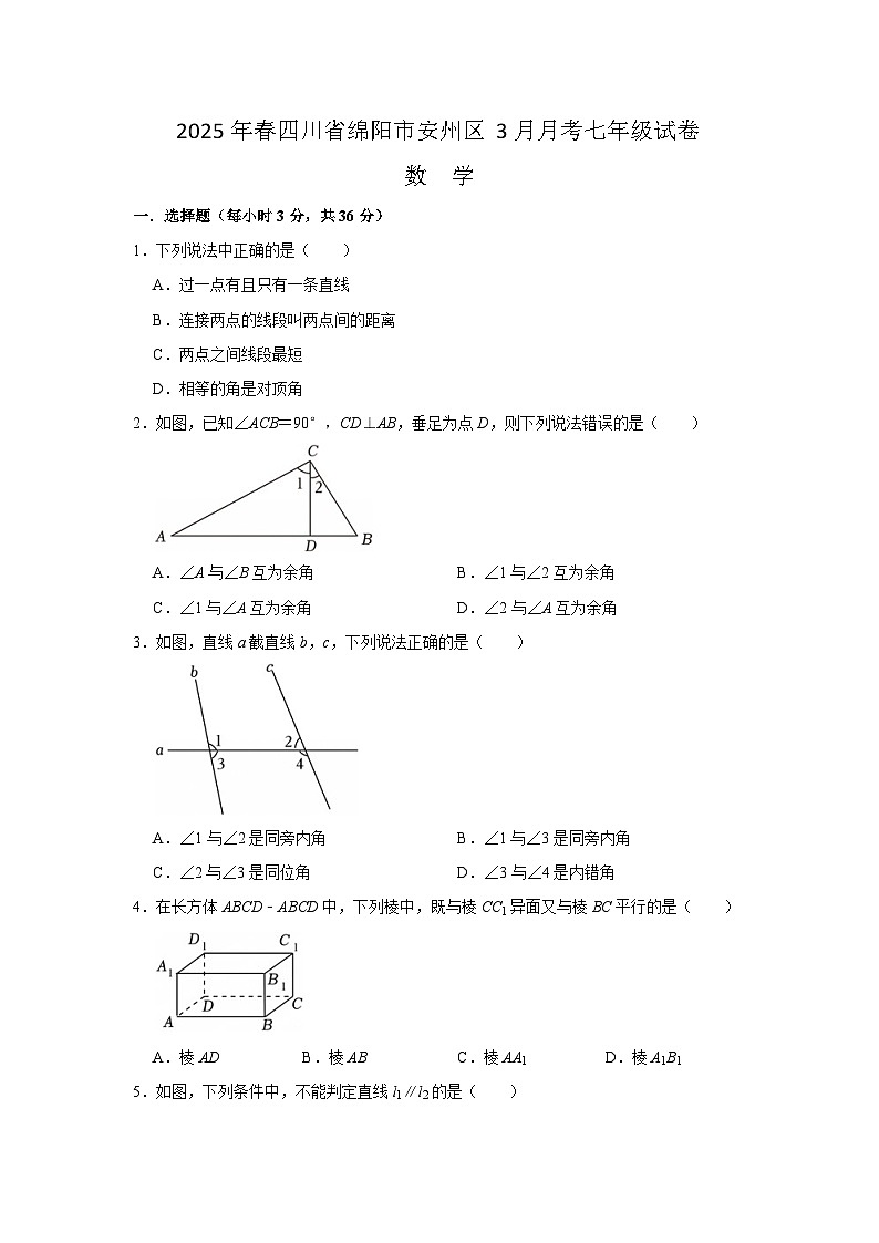 四川省绵阳市安州区2024-2025学年七年级下学期3月月考数学试卷(含答案)第1页