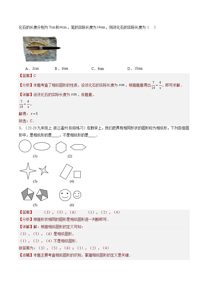 专题17 相似多边形与图形的位似（4知识点+9大题型+1大拓展训练+过关测）（解析版）第2页