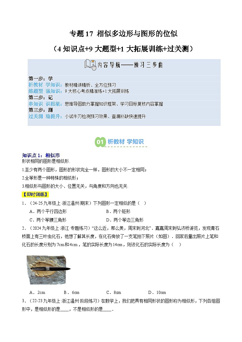 专题17 相似多边形与图形的位似（4知识点+9大题型+1大拓展训练+过关测）（原卷版）第1页