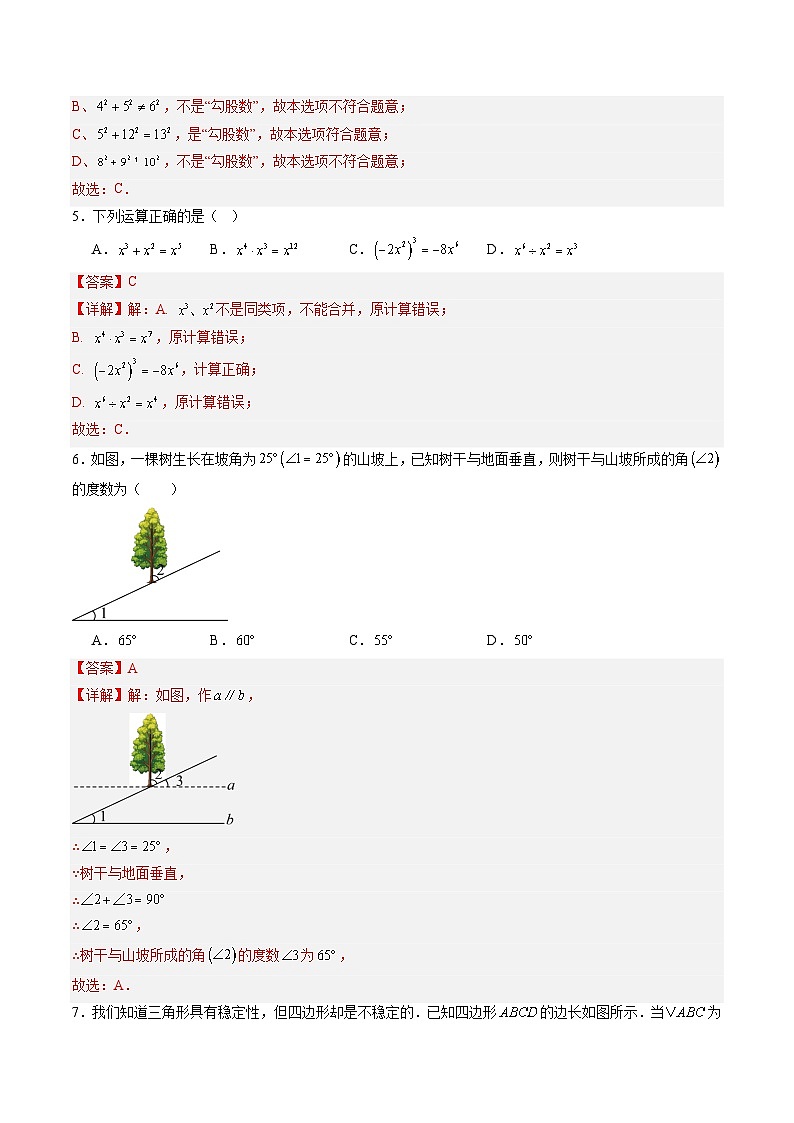 数学（解析版）第2页