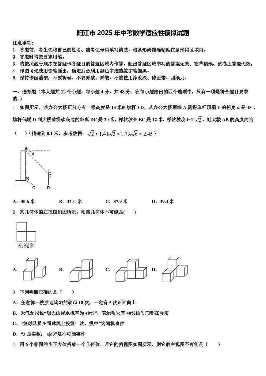 阳江市2025年中考数学适应性模拟试题含解析第1页