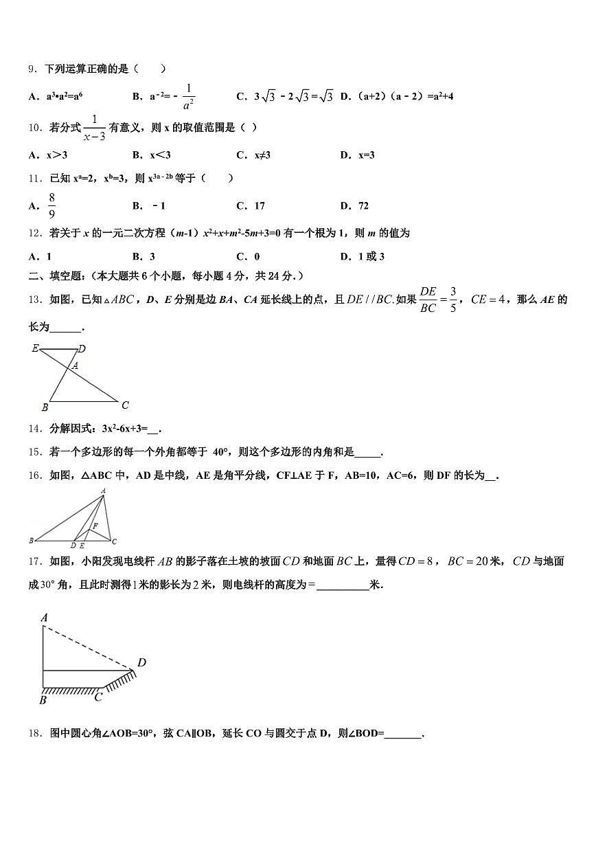 阳江市2025年中考数学适应性模拟试题含解析第3页