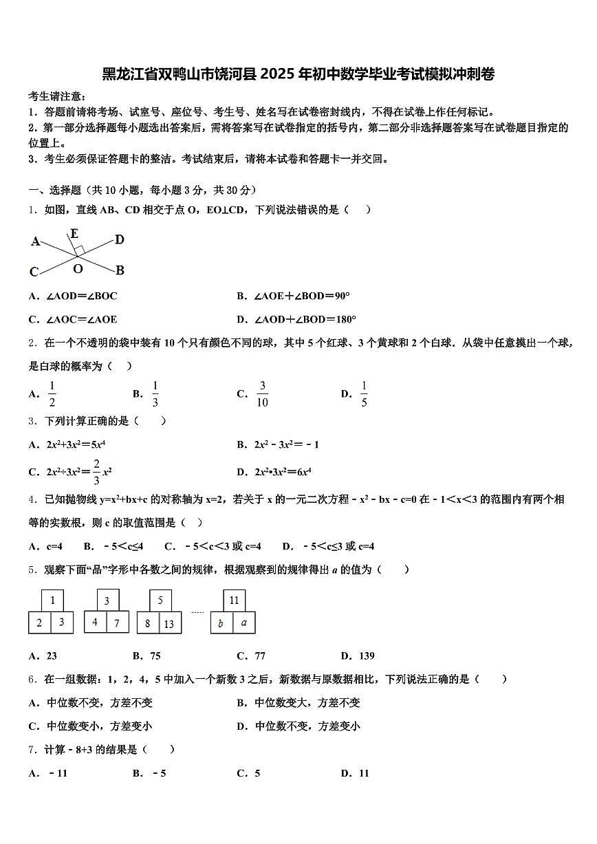 黑龙江省双鸭山市饶河县2025年初中数学毕业考试模拟冲刺卷含解析第1页