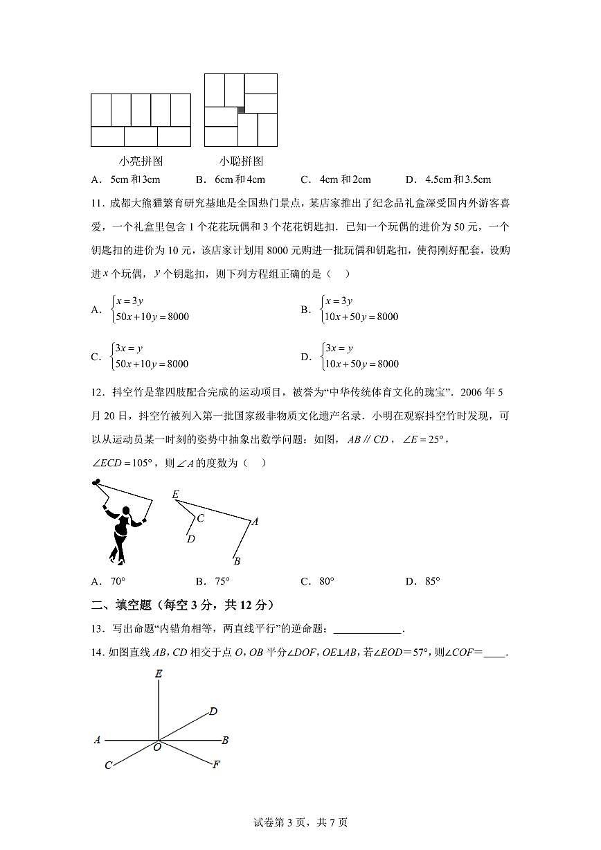 2024~2025学年河北省沧州市青县七年级下学期期末考试数学试卷第3页