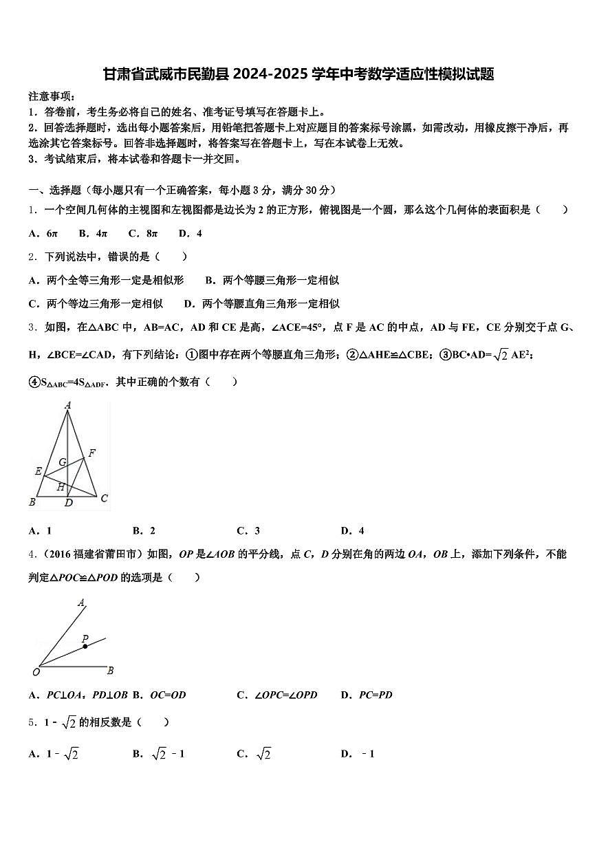 甘肃省武威市民勤县2024-2025学年中考数学适应性模拟试题含解析第1页