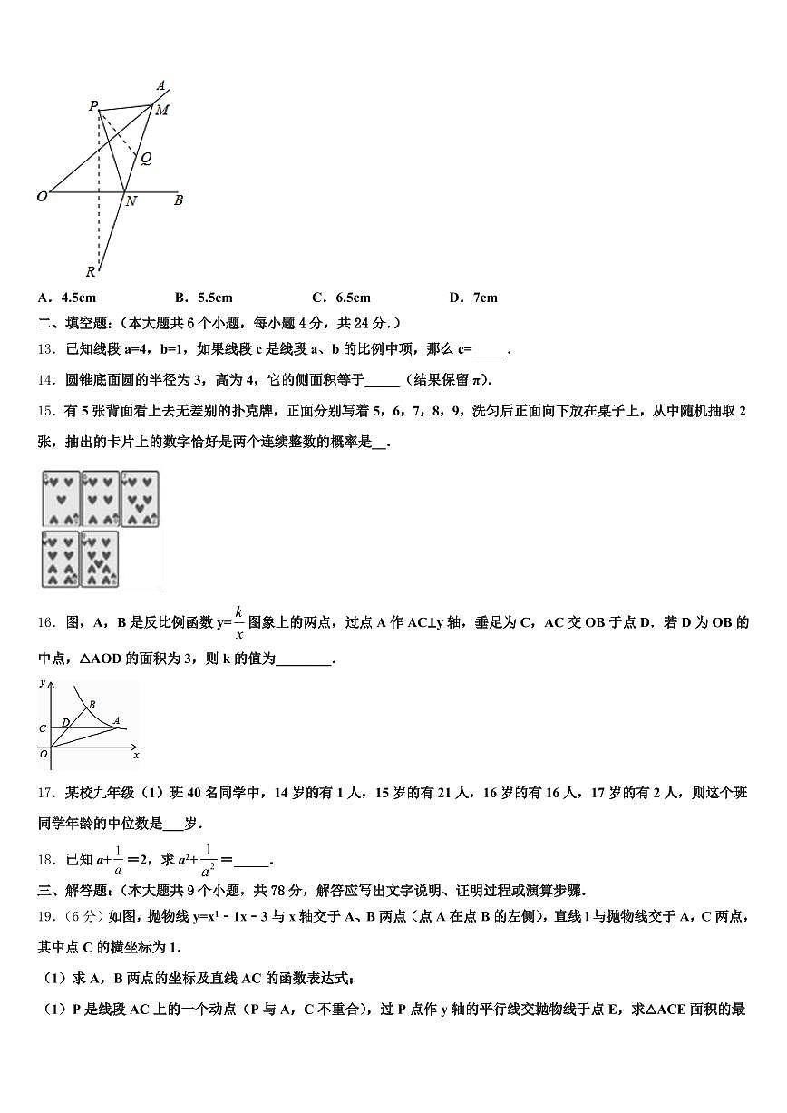 黑龙江省绥化市望奎县2025届中考猜题数学试卷含解析第3页