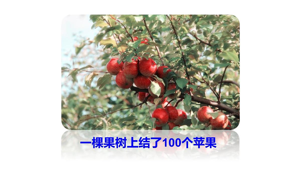 2025年沪科版七年级数学上册1.7 近似数（课件）第4页