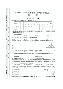 河南省驻马店市泌阳县二校联考2024-2025学年七年级下学期6月月考数学试卷(含答案)