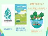 12.2 用統(tǒng)計圖描述數(shù)據(jù)（數(shù)據(jù)圖表與國家級自然保護(hù)區(qū)） 課件 2024-2025學(xué)年人教版七年級下冊數(shù)學(xué)