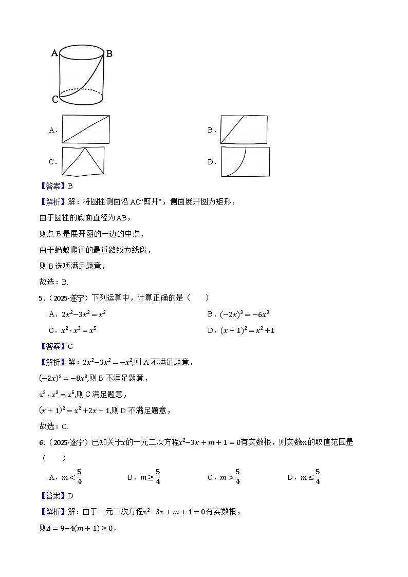 2025年四川省遂宁市中考数学真题试题(解析版)第2页