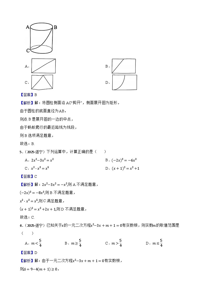 2025年四川省遂宁市中考数学真题试题(解析版)第2页