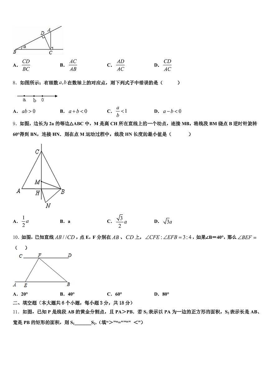 2025届曹县中考数学适应性模拟试题含解析第2页