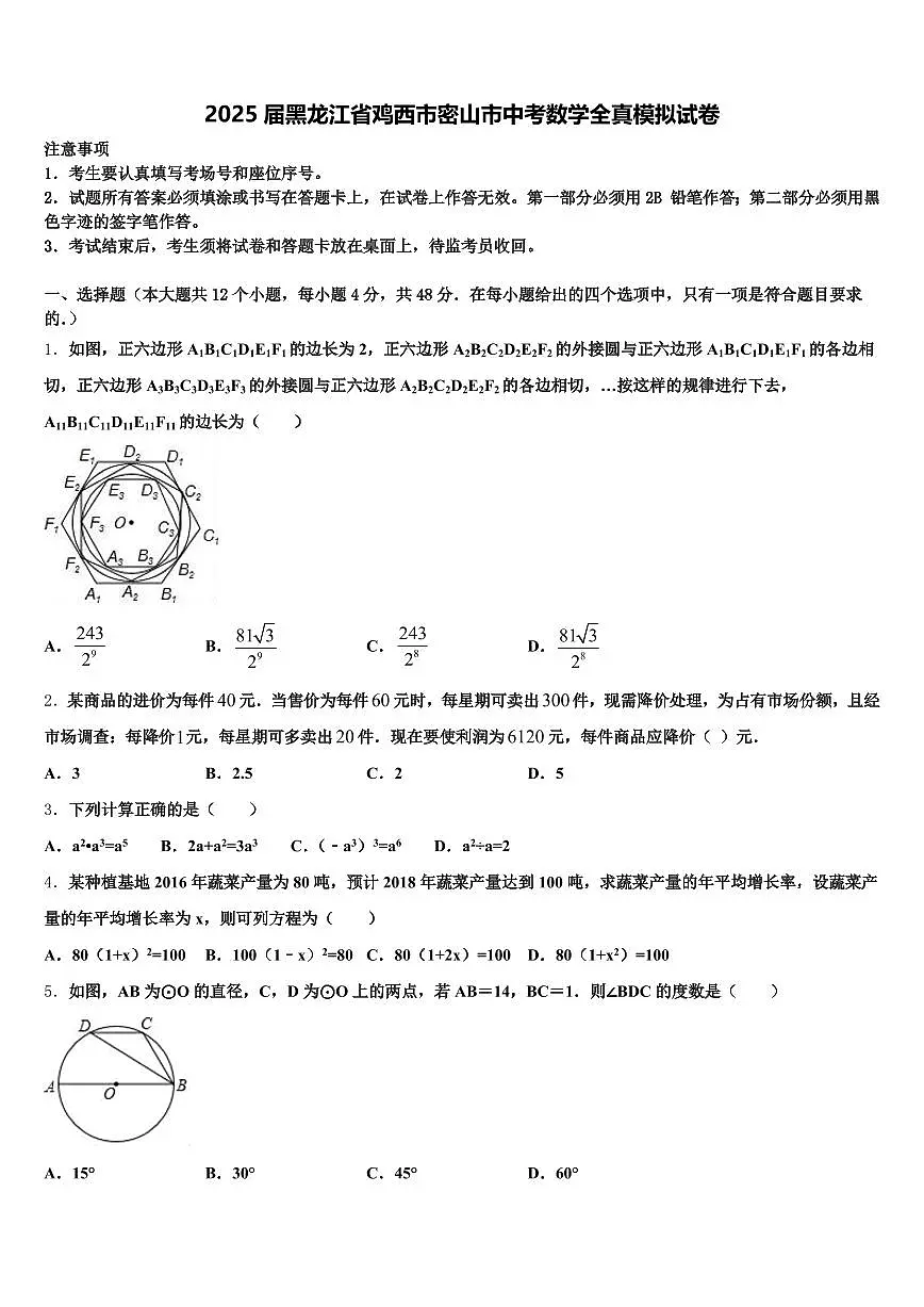 2025届黑龙江省鸡西市密山市中考数学全真模拟试卷含解析第1页