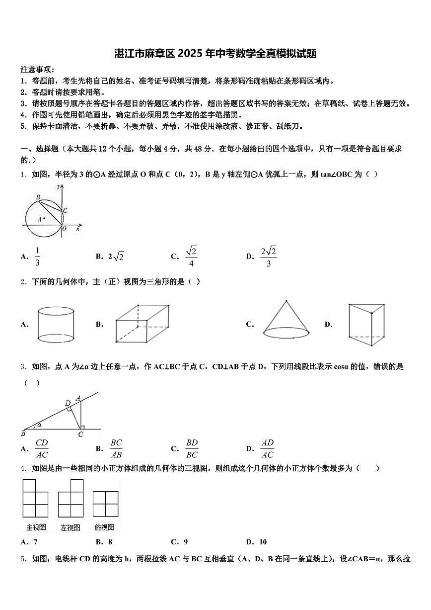 湛江市麻章区2025年中考数学全真模拟试题含解析第1页