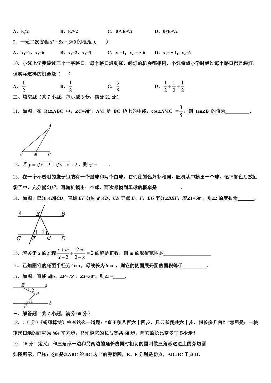河南省漯河市2025年中考数学考前最后一卷含解析第2页