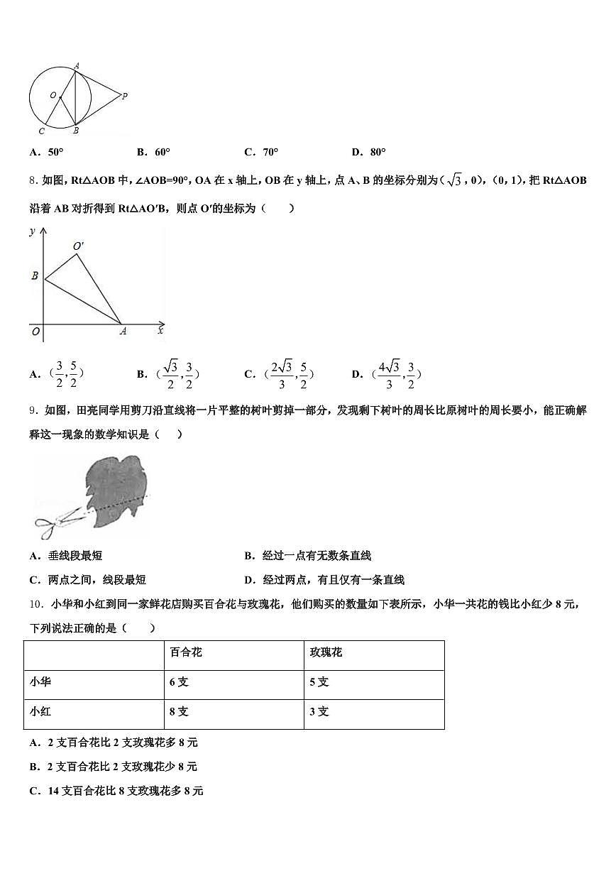 七台河市桃山区2024-2025学年中考数学猜题卷含解析第2页
