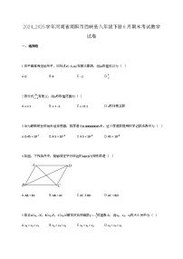 2024_2025学年河南省南阳市西峡县八年级下册6月期末考试数学试卷