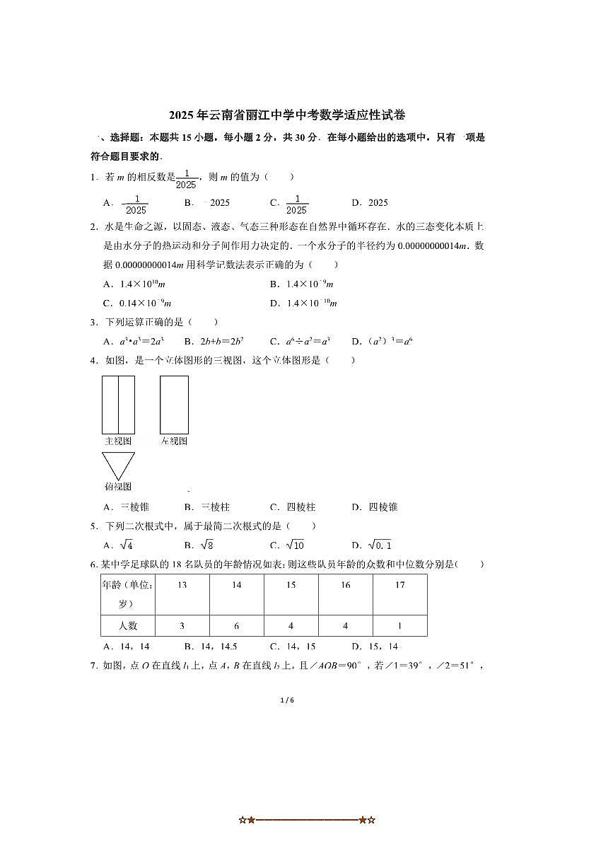 2025年云南省丽江市丽江中学中考数学适应性试卷(无答案)第1页