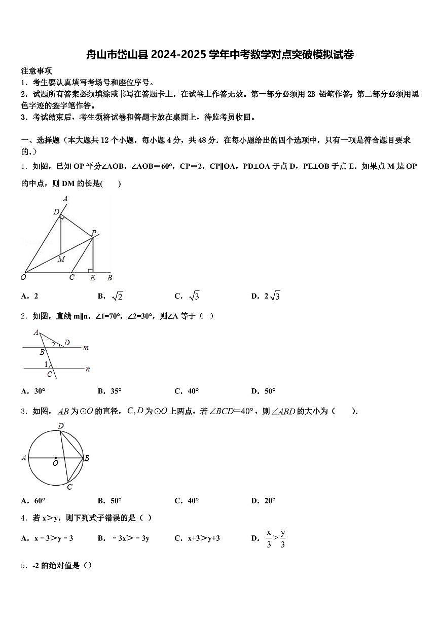 舟山市岱山县2024-2025学年中考数学对点突破模拟试卷含解析第1页
