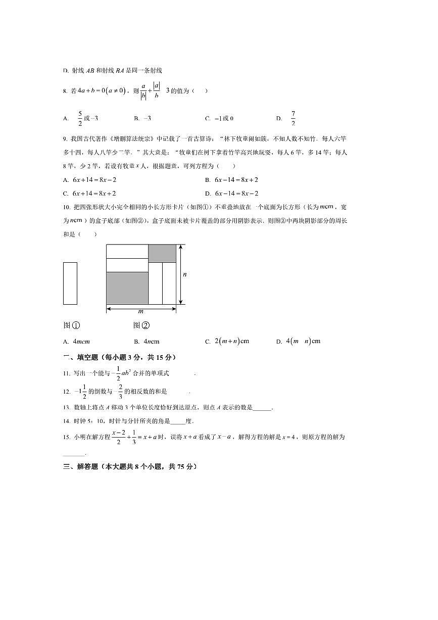 2024～2025学年河南省商丘市民权县双塔镇初级中学七年级上期末考试数学试卷(含图片答案)第2页