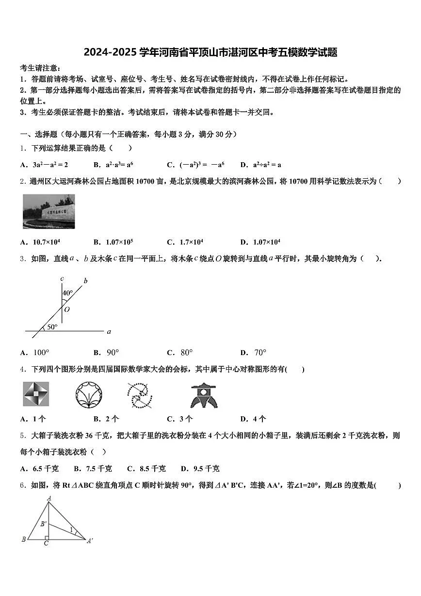 2024-2025学年河南省平顶山市湛河区中考五模数学试题含解析第1页
