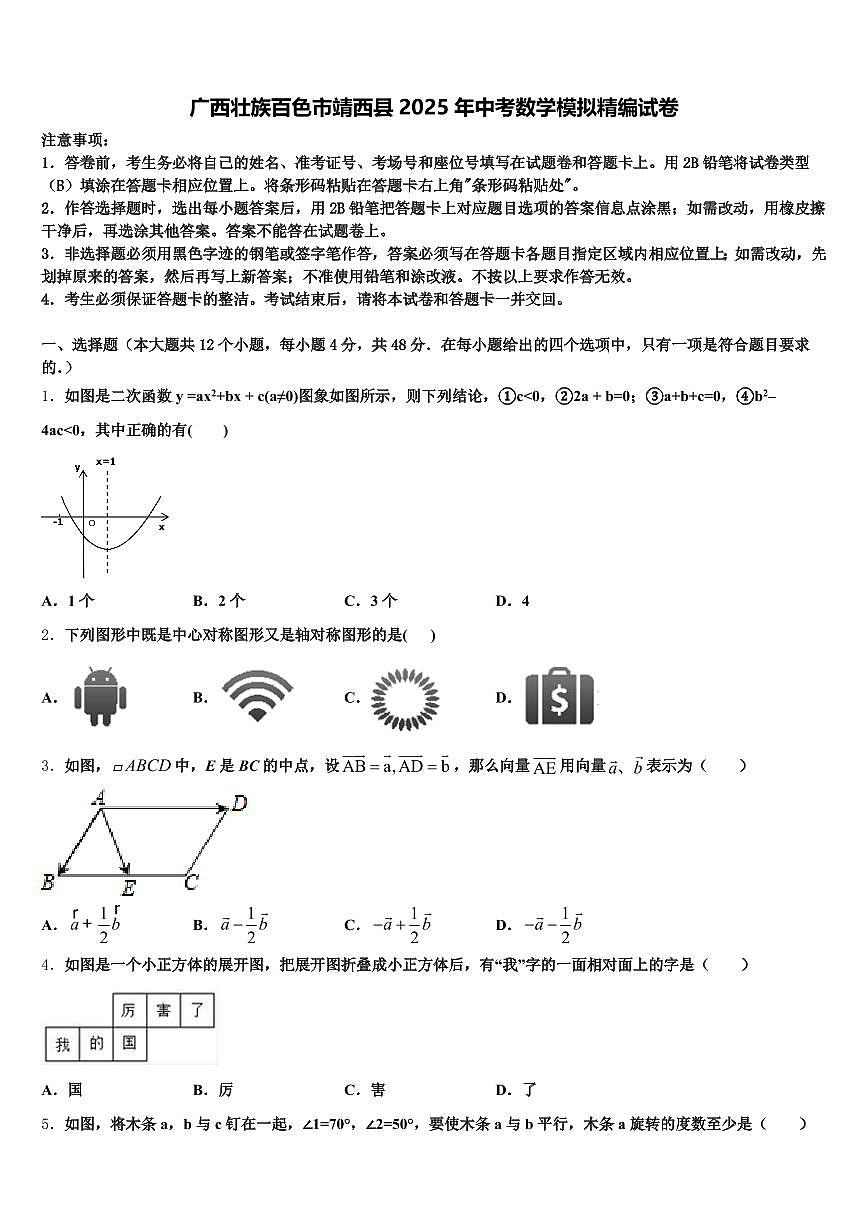 广西壮族百色市靖西县2025年中考数学模拟精编试卷含解析第1页