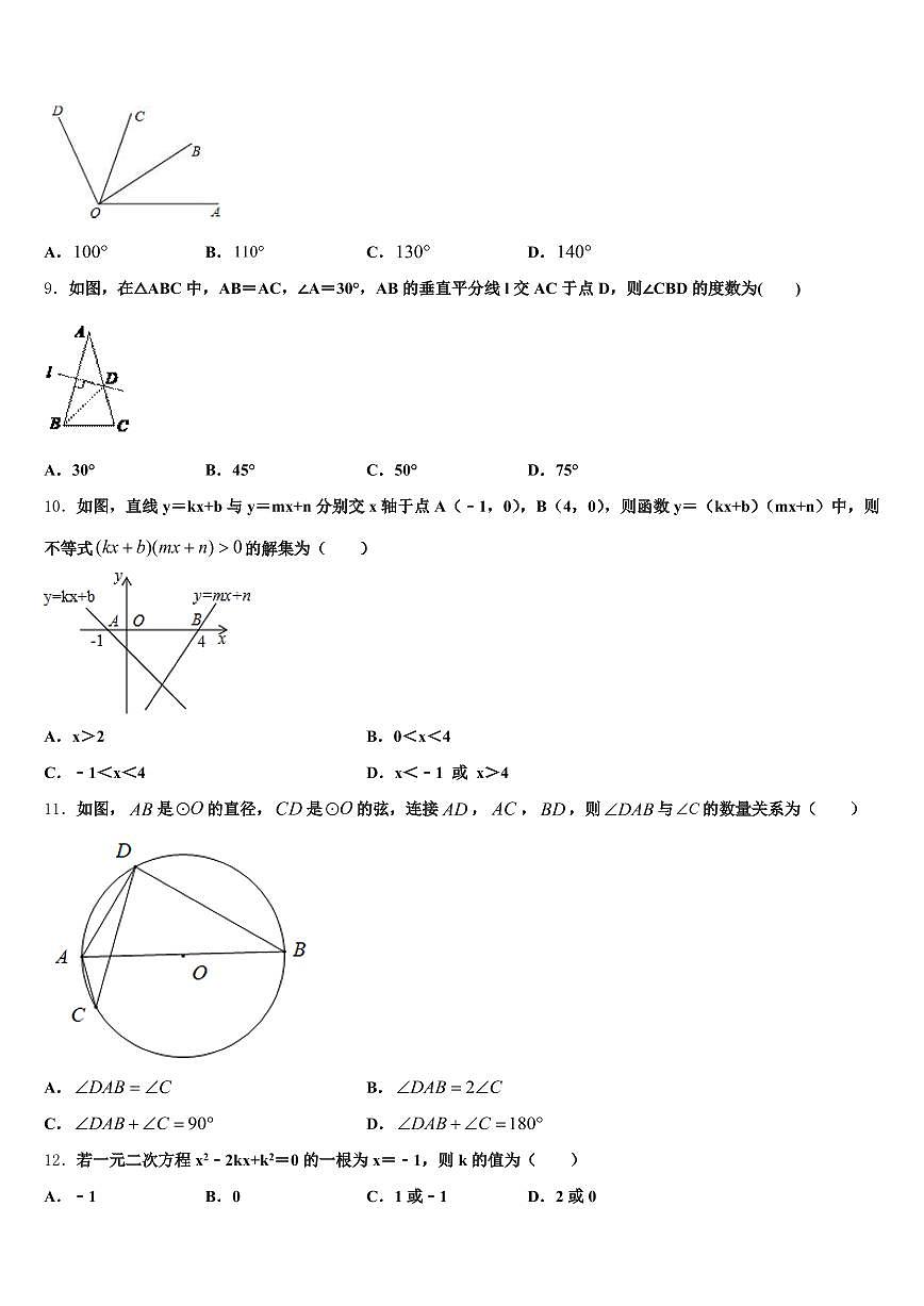 都安瑶族自治县2024-2025学年中考数学考试模拟冲刺卷含解析第3页