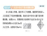 2.1 認(rèn)識實(shí)數(shù)(課件)2025-2026學(xué)年北師大八年級數(shù)學(xué)上冊